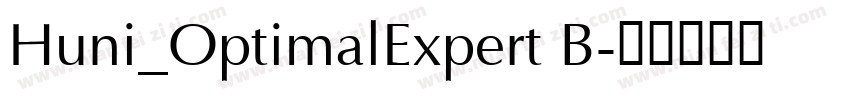 Huni_OptimalExpert B字体转换